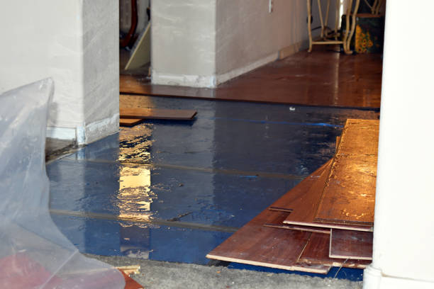 Professional Emergency Water Damage Restoration technician working in Lyndhurst, OH